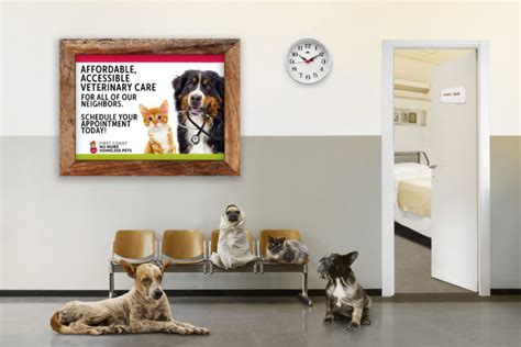 no more homeless pets appointments.